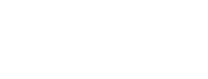 Nyati Elenor Lullanagar Logo